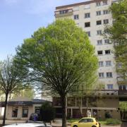 Photo n°4 - Louer un appartement 3 pièces<br/> de 62 m² à Nantes (44300)